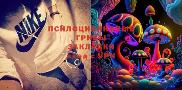 СК Богородицк