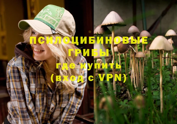 спайс Бородино