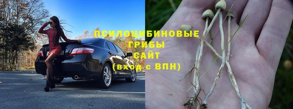 спайс Бородино