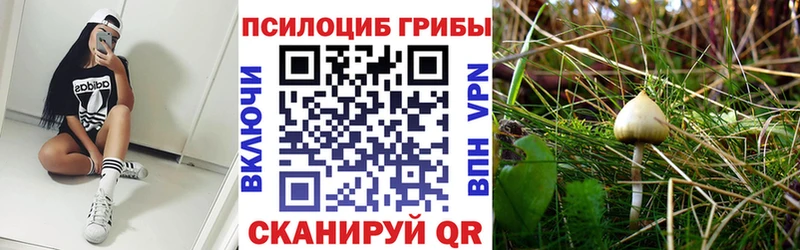 Галлюциногенные грибы Magic Shrooms  Туран 